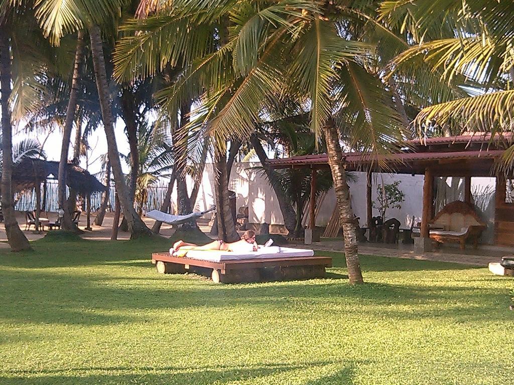 Cocovilla Boutique Resort Bentota Eksteriør billede