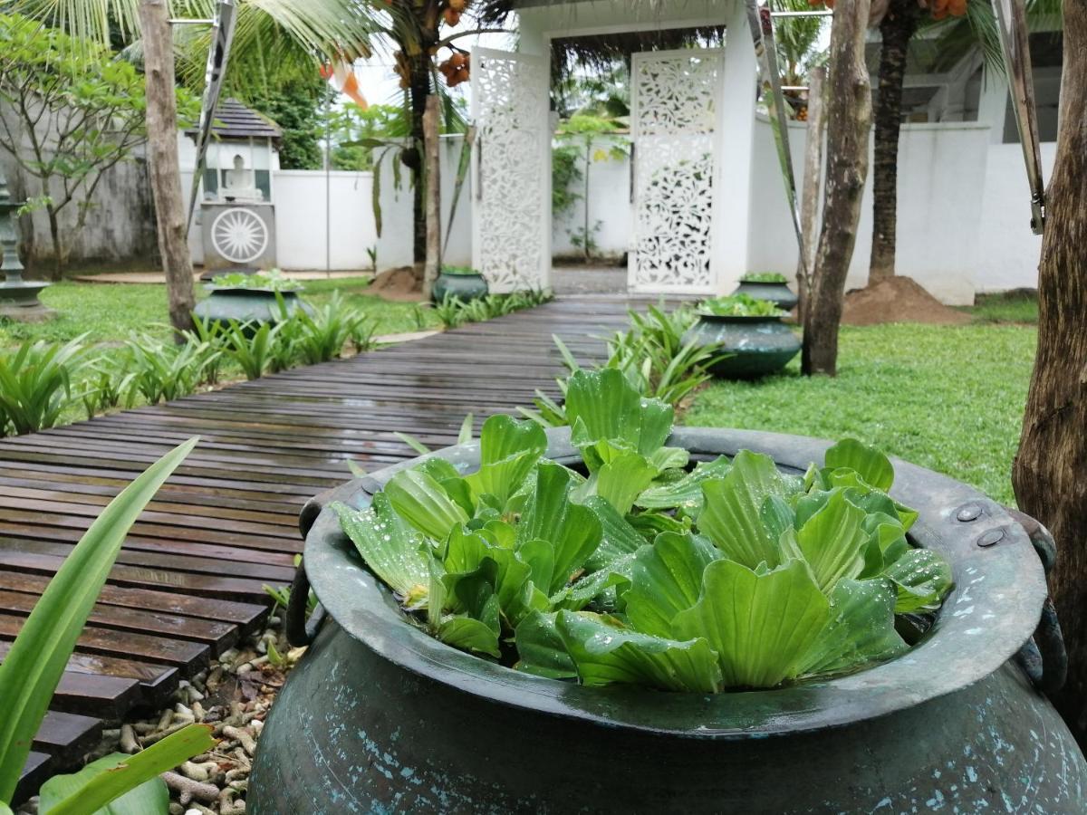 Cocovilla Boutique Resort Bentota Eksteriør billede