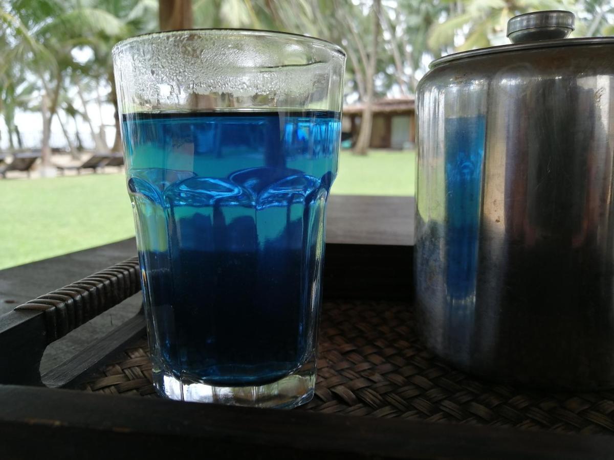 Cocovilla Boutique Resort Bentota Eksteriør billede